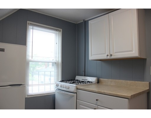 13 Dodge St unit 2, Cambridge, MA 02139 - photo 1