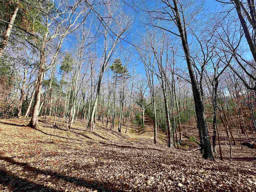 1258 Treetop Ridge Rd, Blacksburg, VA 24060 - photo 1