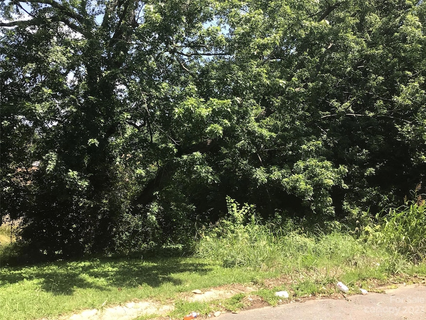 2501 Abelwood Rd, Charlotte, NC 28216 - photo 1