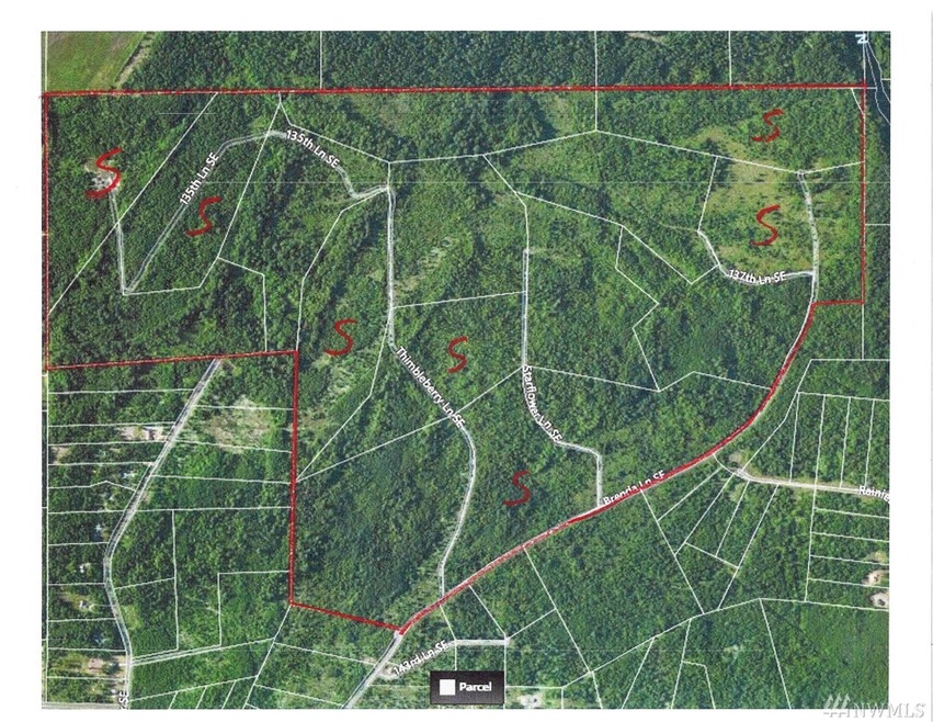 11 Starflower Ln SE, Yelm, WA 98597 - photo 1