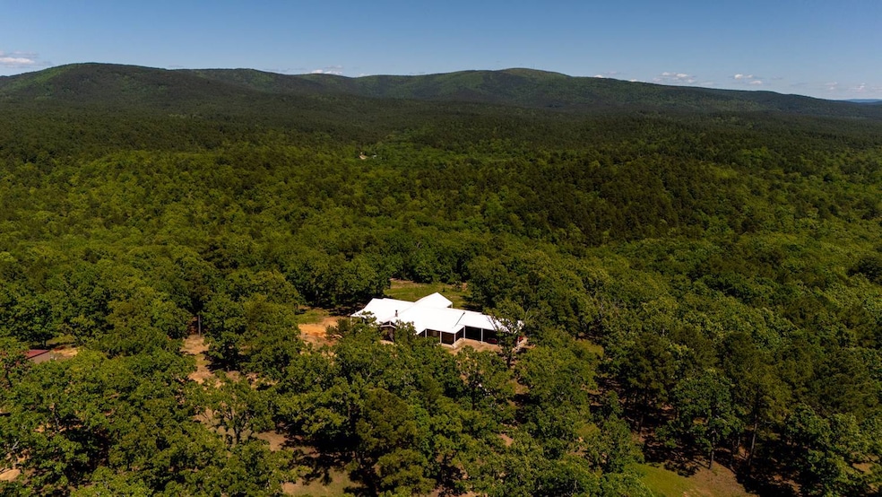 52079 Blemmel Rd, Talihina, OK 74571 - photo 1