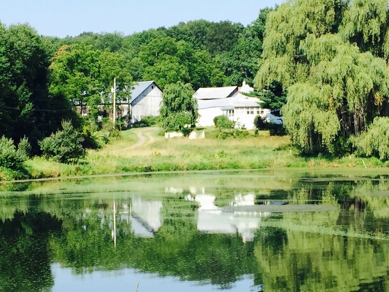 81 Gemmer Rd, Wantage, NJ 07461 - photo 1