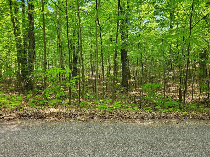 Lot 22 Cubs Way, Vanderbilt, MI 49795 - photo 1