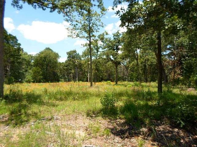 Lot view with clearing for house.