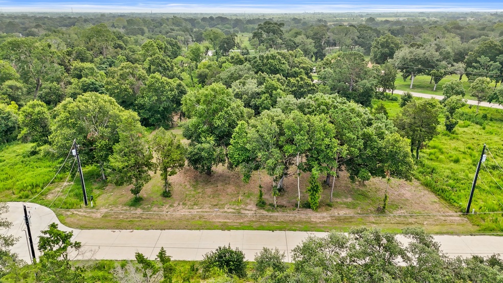 4607 Cottonwood Run, Alvin, TX 77511 - photo 1