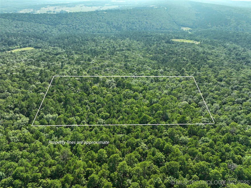 unlisted-address, Panola, OK 74578 - photo 1