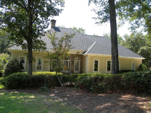 Main View