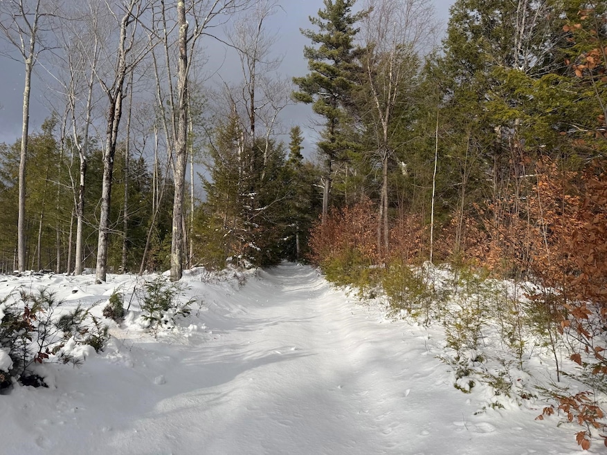 000 Dwinell Rd unit 534502, Troy, NH 03465 - photo 1