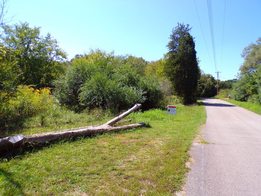 3955 Lego School Rd, Linden, TN 37096 - photo 1