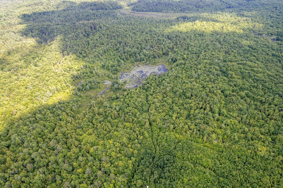 DJI_0964