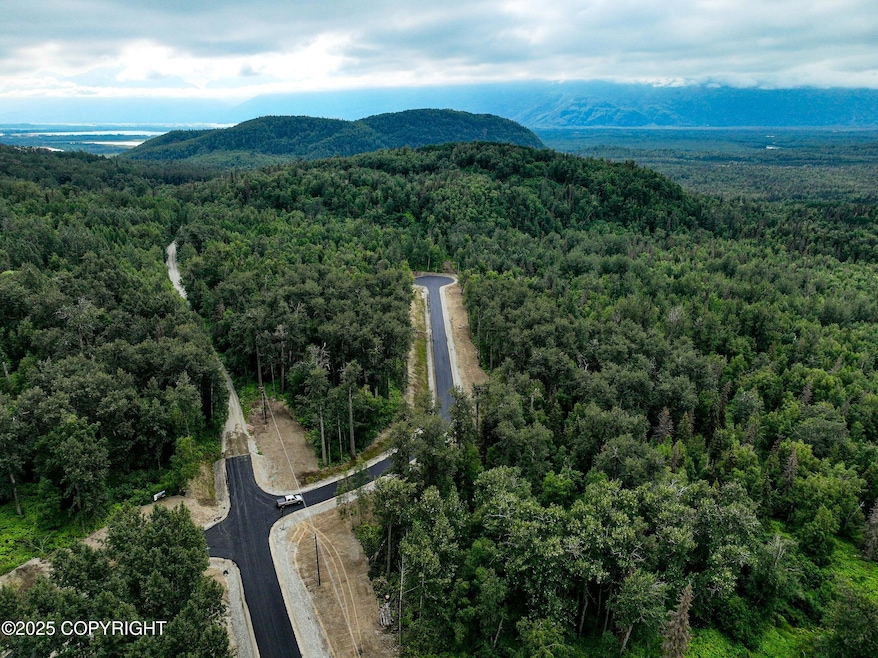 Resized DJI_20230803121506_0034_V