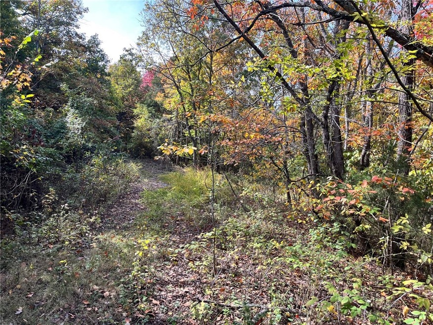 0 Snyder Ln unit 1259475, Bella Vista, AR 72714 - photo 1