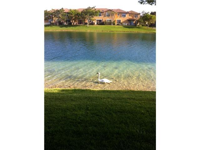 Waterfront/Dock/Pier