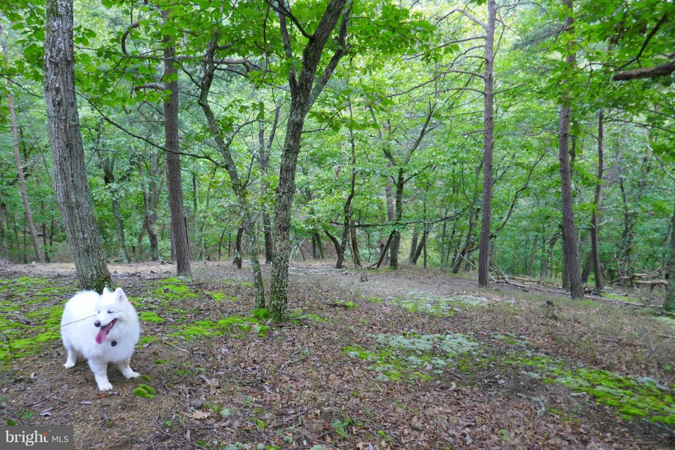 115 Trough View Rd, Moorefield, WV 26836 - photo 1