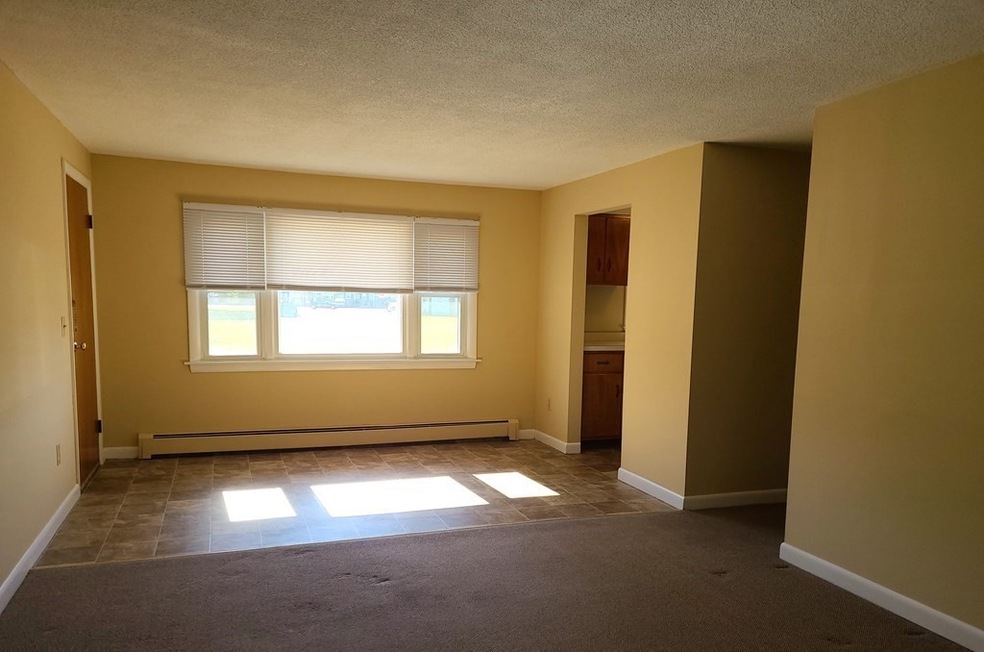 19 Chapman Ave unit 1, West Brookfield, MA 01585 - photo 1