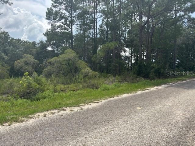 0000 SE 123 St, Dunnellon, FL 34431 - photo 1