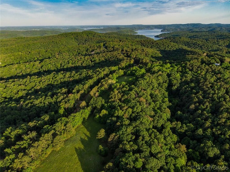 North Pasture Looking West to Beaver Lake