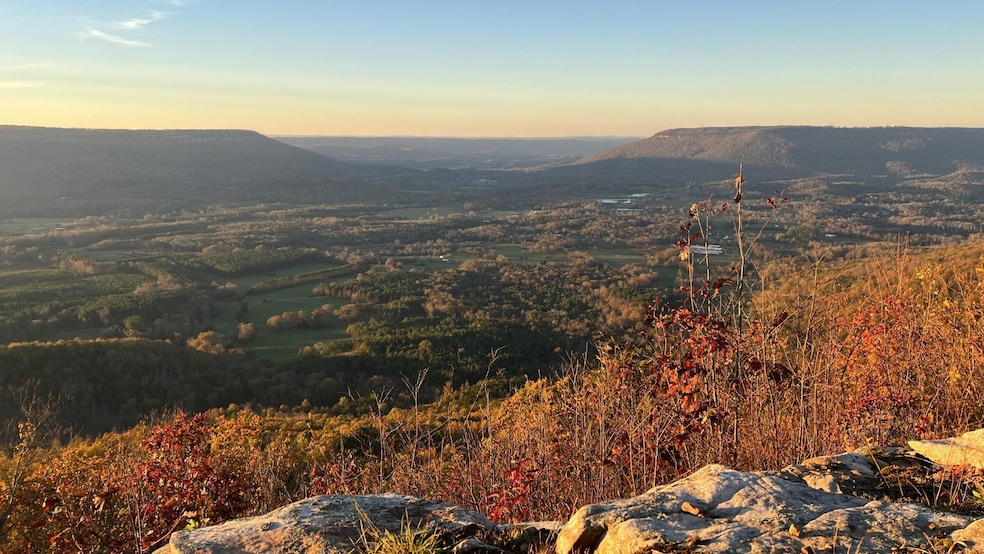 0 Tatum Gulf Rd unit RTC3059135, Menlo, GA 30731 - photo 1