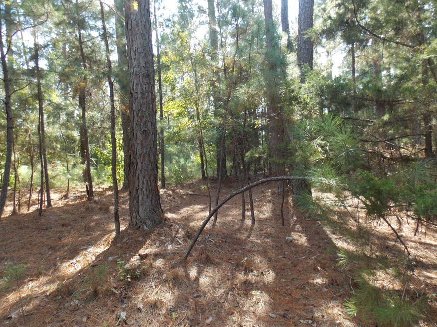 LAKE ACCESS
