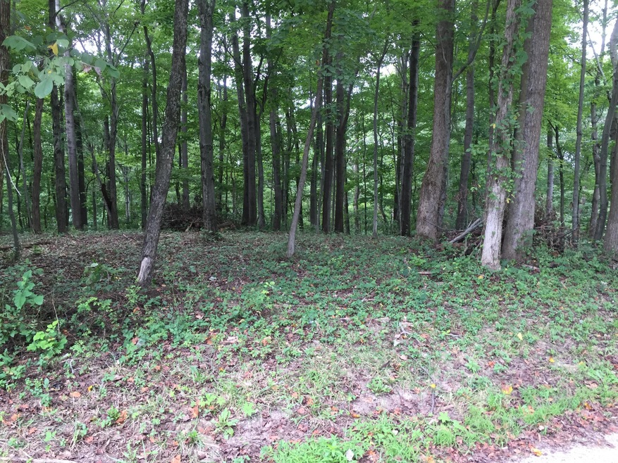 0 Tolliver Rd unit Lot B 216031336, Logan, OH 43138 - photo 1