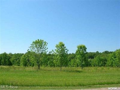 0 E Beech St unit 3305368, Jefferson, OH 44047 - photo 1