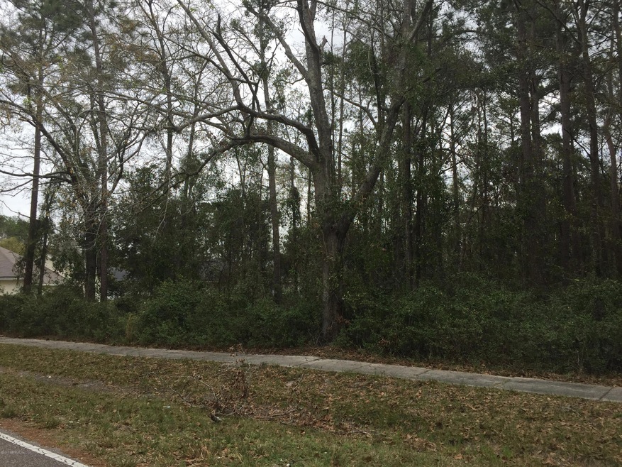 0 Duval Rd unit 868300, Jacksonville, FL 32218 - photo 1