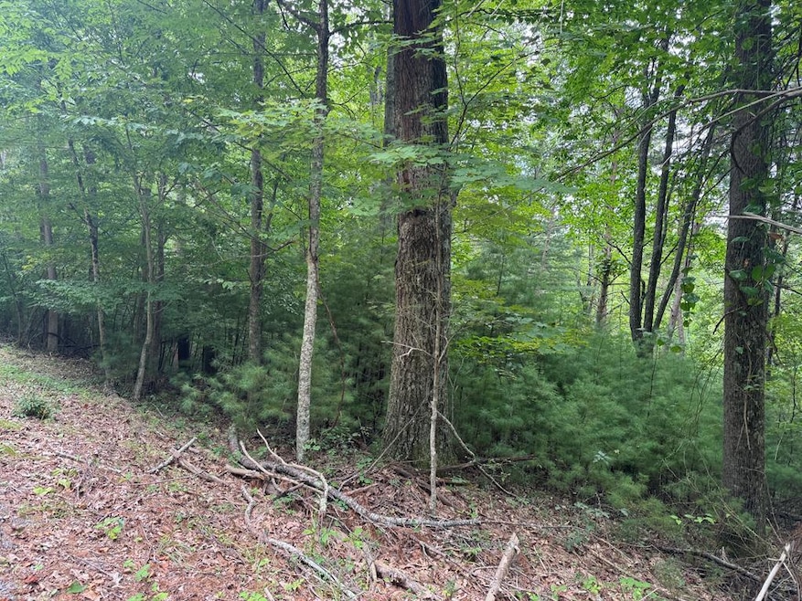 0 Cave Ridge Rd, Hinton, WV 25951 - photo 1