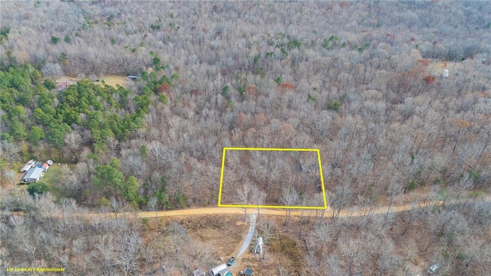 6124 Wild Horse Canyon Rd, Snow Camp, NC 27349 - photo 1