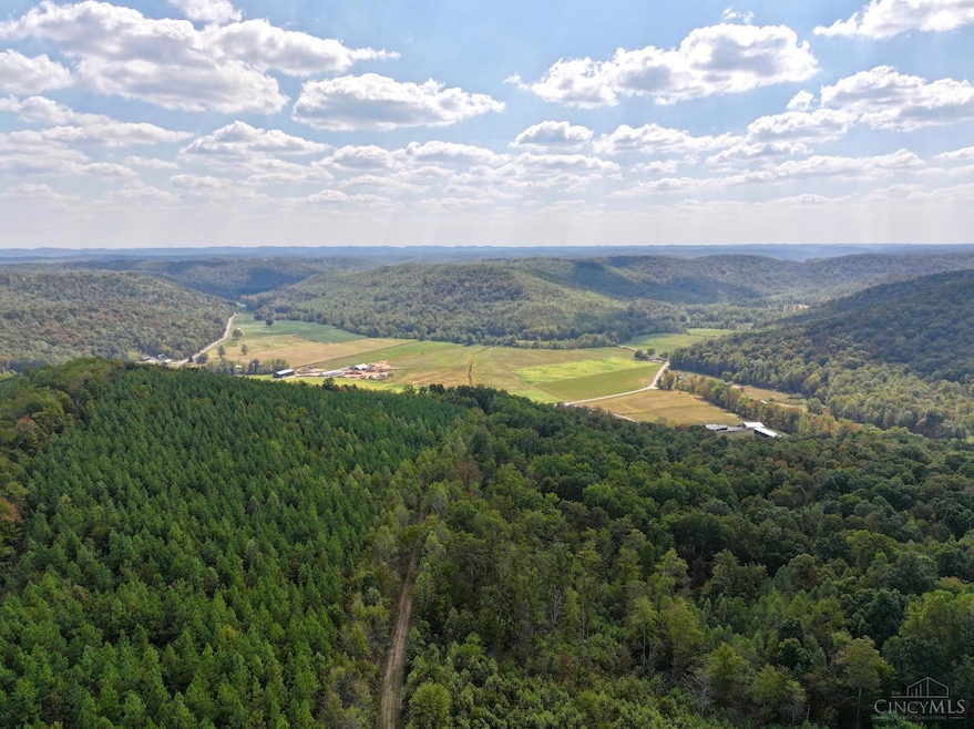 0 St Rt 348 unit 1855893, Jefferson Township, OH 45657 - photo 1