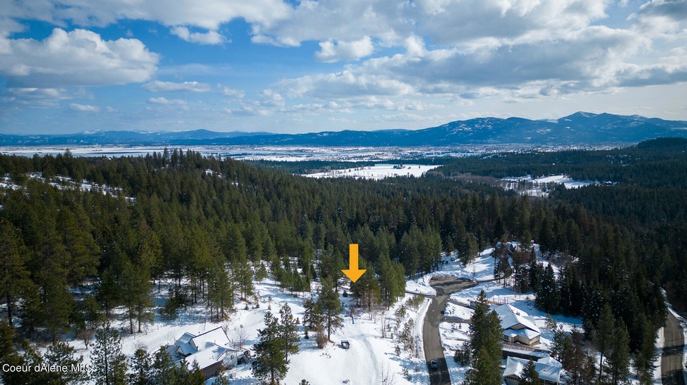 View of Property