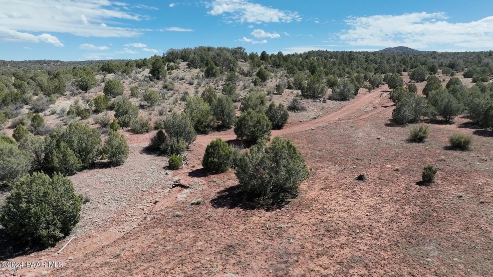 42374 Conwaden Rd, Ash Fork, AZ 86320 - photo 1