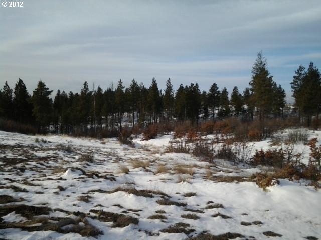 0 Timber unit 68 12326467, Bickleton, WA 99322 - photo 1