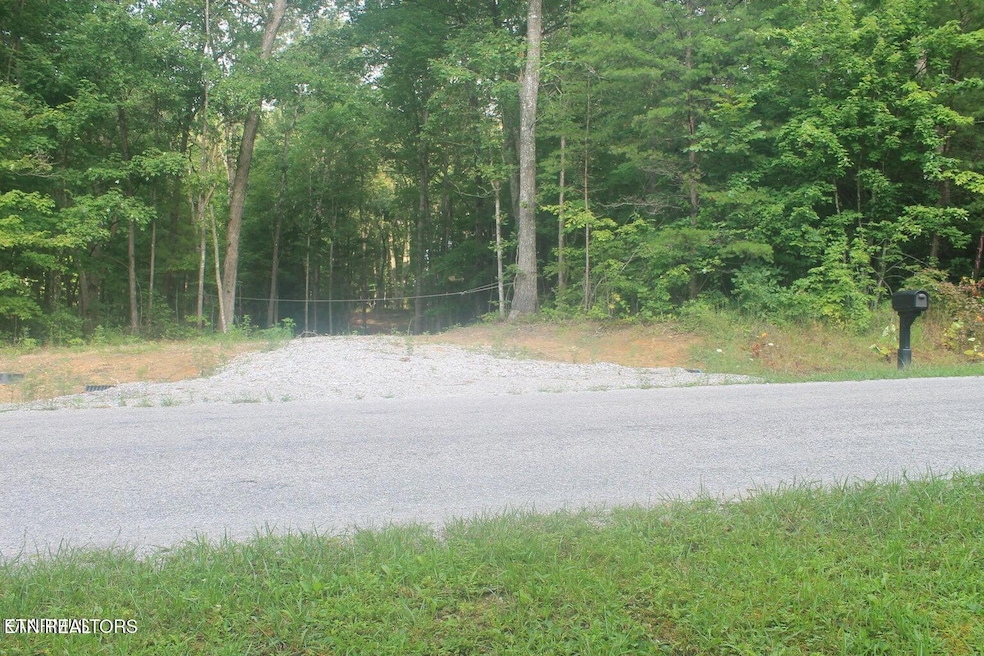 Robert Beaty Rd 12