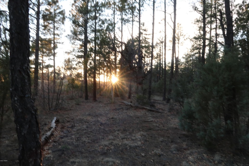 Pines
