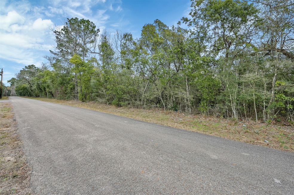 14761 Edwards Rd, Montgomery, TX 77316 - photo 1