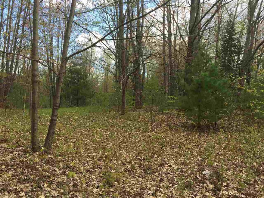 0 Fence Row Cir unit 21120929, Leroy, MI 49655 - photo 1