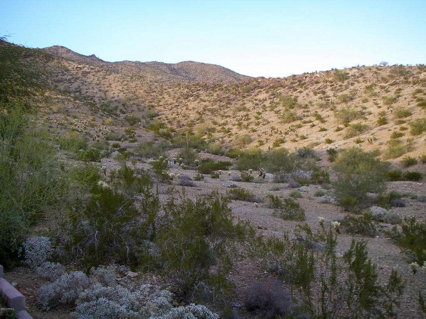 VIEWS FROM BACKYARD OF MOUNTAIN PRESERVE