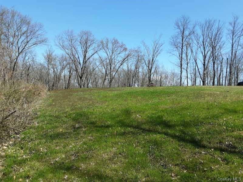 23 Guski Rd, Red Hook, NY 12571 - photo 1