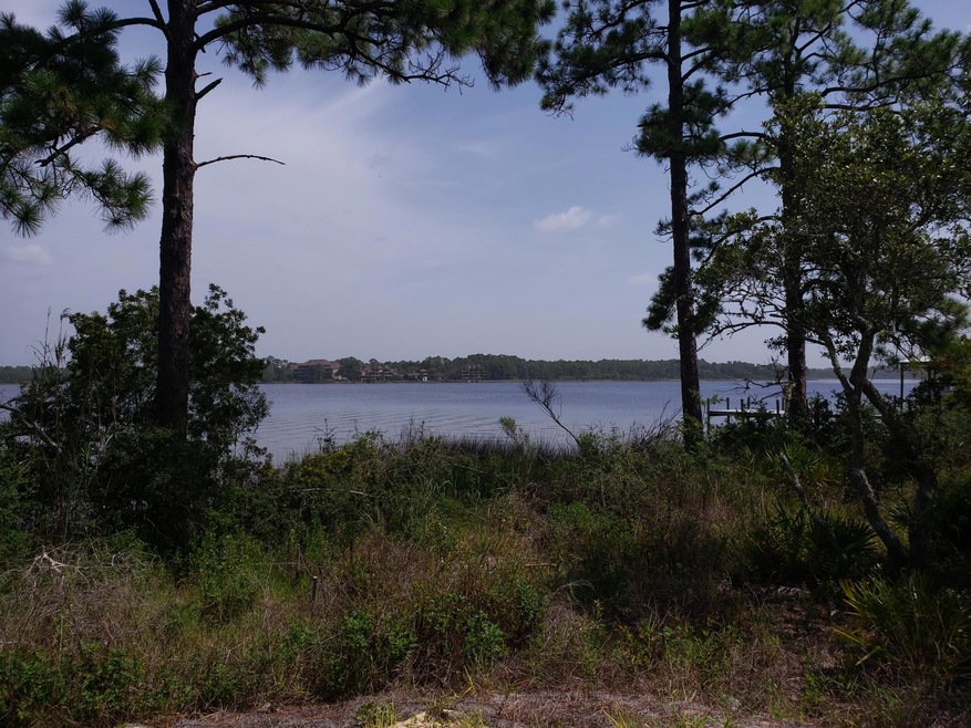 22918 Ann Miller Rd - 1 Lake view from l