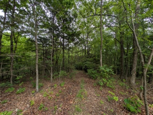 For Sale $74,900 • Co-Listing Agent