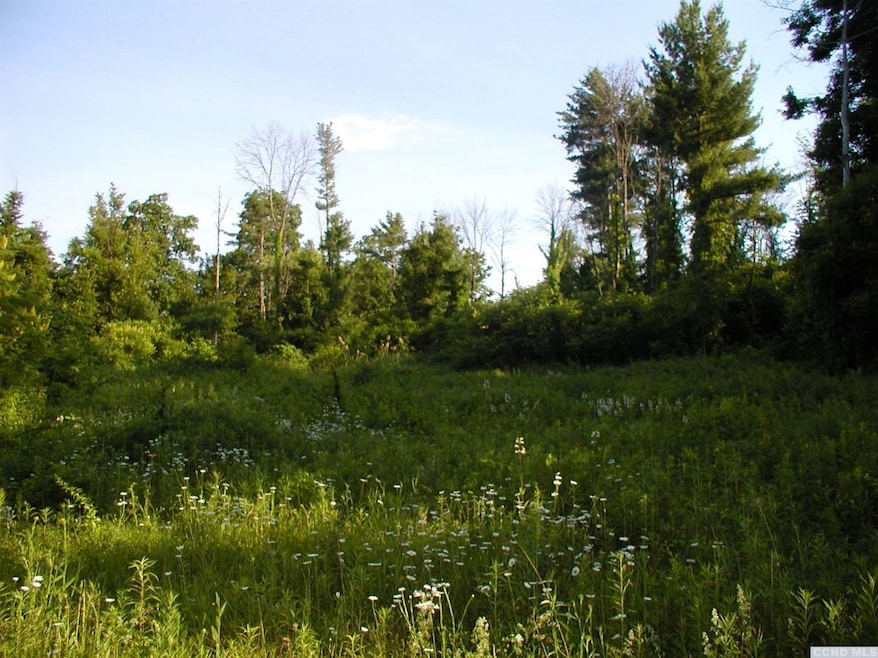 0 Leeds Athens Rd unit 110052, Athens, NY 12015 - photo 1