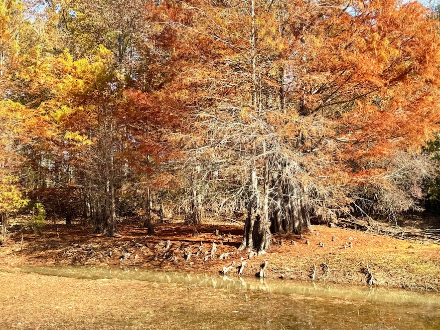 4134 Barton Ferry Rd, Columbus, MS 39705 - photo 1