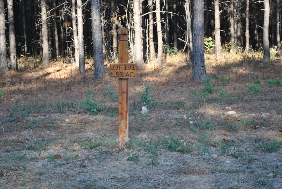 2575 River Bluffs Dr, Jasper, TN 37347 - photo 1