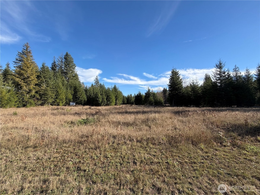 138 Shelton Rd, Randle, WA 98377 - photo 1