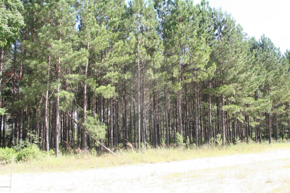 0 Equestrian Way unit 777912, Callahan, FL 32011 - photo 1