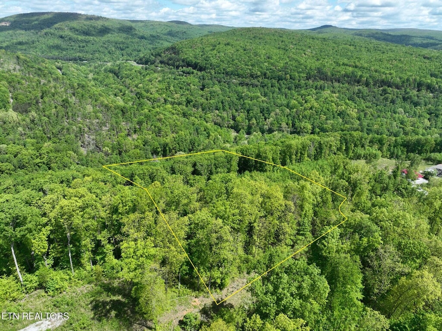 0 Lower Eagles Nest Rd unit 1322990, Crab Orchard, TN 37723 - photo 1