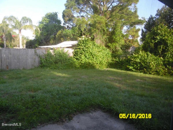Back Yard v1