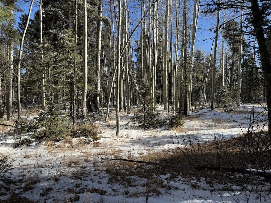 lot 99 Zia Rd, Angel Fire, NM 87710 - photo 1