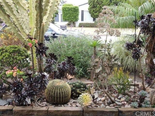 Water efficient Front Yard