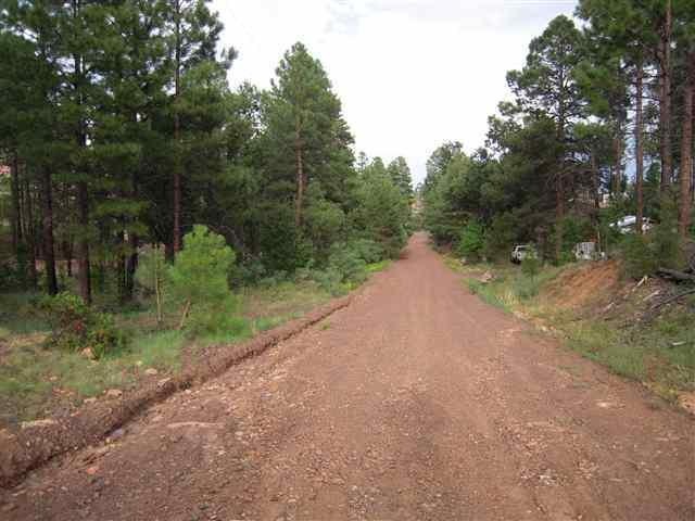 6214 Juniper Ridge, Show Low, AZ 85901 - photo 1